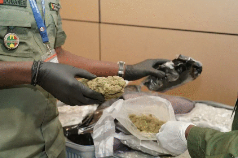 Drogue venue de Paris : Un suspect arrêté à Guédiawaye avec 600 g de haschisch