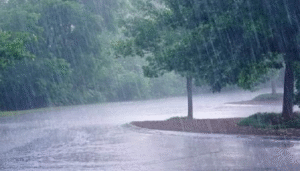 Alerte Météo : des orages persistants à Kédougou et des pluies faibles attendues sur Dakar et Thiès