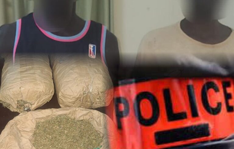 Fatick : Le dealer qui échappait à toutes les interpellations finalement arrêté par l'OCRTIS