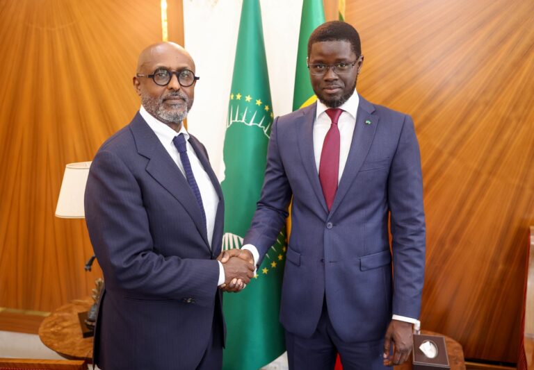 Nouveau programme FMI : le Directeur Afrique Abebe Selassie reçu en audience par le Président Diomaye