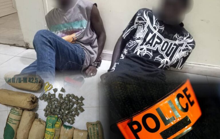 Louga : 2 trafiquants arrêtés par l'OCRTIS avec plus de 9 kg de chanvre indien à Ndiagne