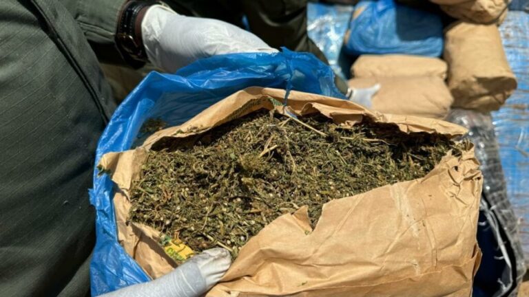 Rufisque : Un trafiquant en provenance de Kafountine intercepté avec 10 kg de chanvre indien
