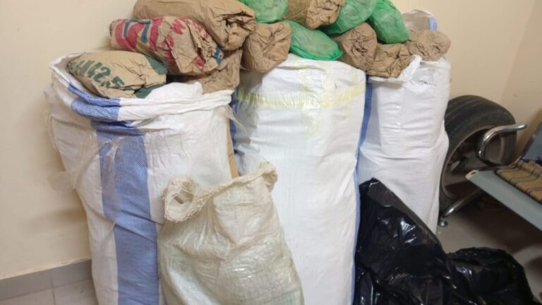 Mbour : 108 kg de chanvre indien saisis sur la plage de Mballing, les trafiquants en fuite