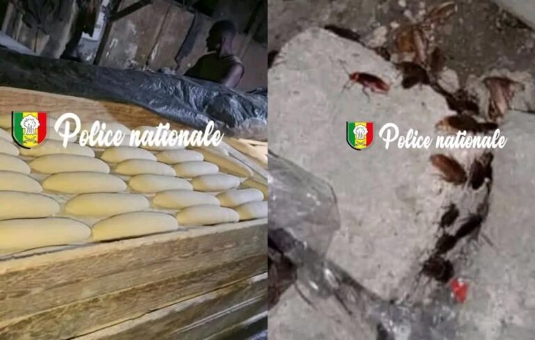 Démantèlement d’une boulangerie de l’horreur à Grand-Yoff, des cafards et des vers découverts sur le pain