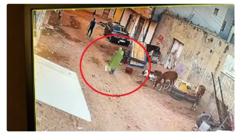 Abandon de nouveau-né : Une caméra de surveillance filme une femme tentant de se débarrasser de son bébé (Vidéo)