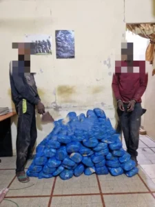 Kaolack : un menuisier et un boutiquier arrêtés par la police avec 1 kg de chanvre indien