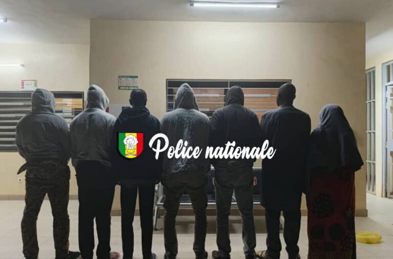 L’Antenne régionale de la Division nationale de lutte contre le trafic de migrants et pratiques assimilées (DNLT), relevant de la Direction