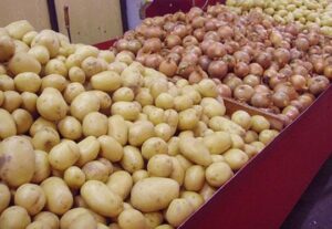 Sénégal : le ministère du Commerce gèle les importations de pomme de terre et d’oignon