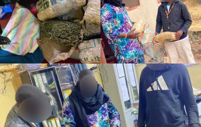 Nioro : les images de la drogue saisie après le démantèlement d’un réseau international par la gendarmerie