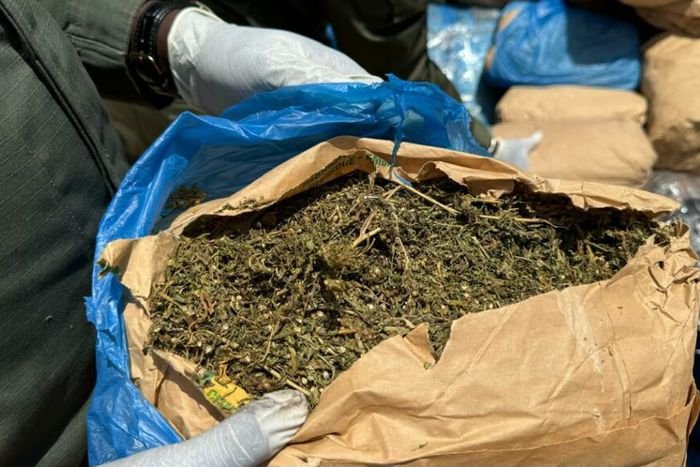 Thiès : la police démantèle un fumoir de chanvre indien, quatre suspects jugés en flagrant délit Thiès : la police démantèle un fumoir de chanvre indien