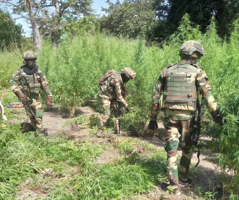 Mort de militaires en Casamance