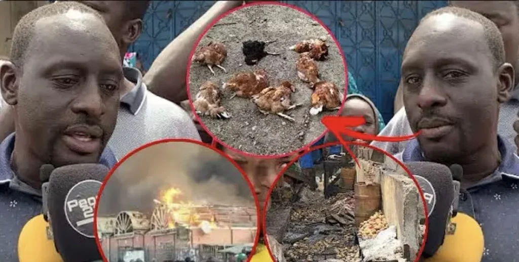 (Vidéo) – Incendie au marché Sam : « 500 guinar lafi bayi woon… », les révélations de ce vendeur. Incendie au marché Sam