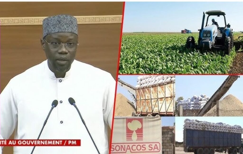 Campagne arachidière : la Sonacos réalise un record, mais reste loin des attentes de Sonko Sonacos