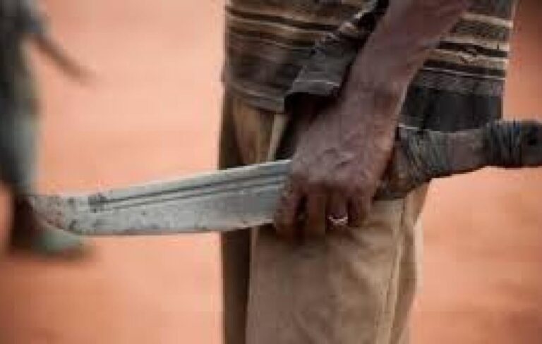 Tivaouane : Un jeune gardien sauvagement agressé à la machette pour des moutons Ladoum !