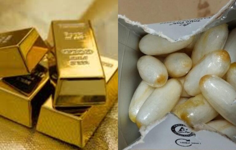 Trafic aux Almadies : Cocaïne, lingots d'or et "Live Resin", la chute du cartel huppé de Dakar