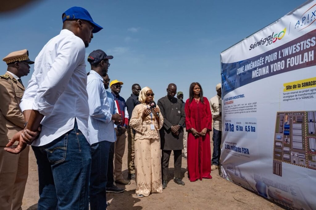 Électrification rurale : le Président Bassirou Diomaye Faye illumine 53 villages du Fouladou
