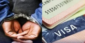 Kaolack : Faux visas pour les États-Unis, un escroc arrêté après avoir soutiré plus de 10 millions