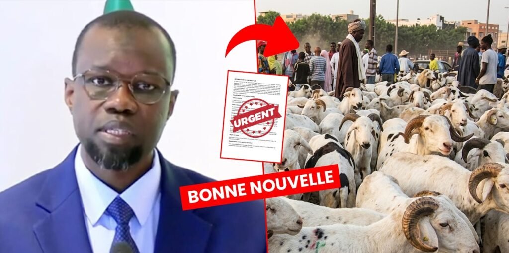 Tabaski 2026 : Ousmane Sonko fixe l’objectif national et dicte une série d’allègements aux frontières Tabaski 2026 : Ousmane Sonko fixe