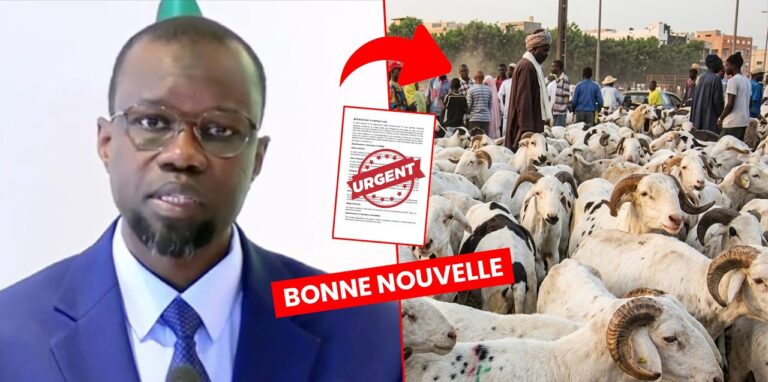 Tabaski 2026 : Ousmane Sonko fixe l’objectif national et dicte une série d’allègements aux frontières