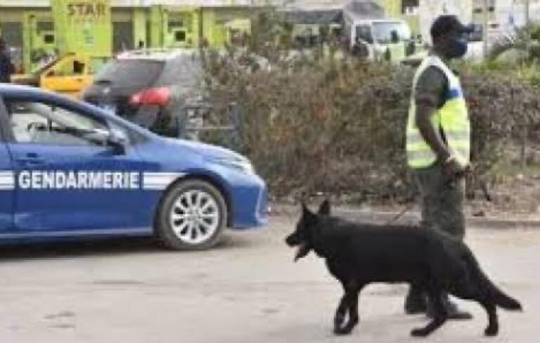 Ouakam: Alcool, haschisch et sextoy, une soirée de débauche vire au cauchemar pour 8 fêtards, dont un "DG"