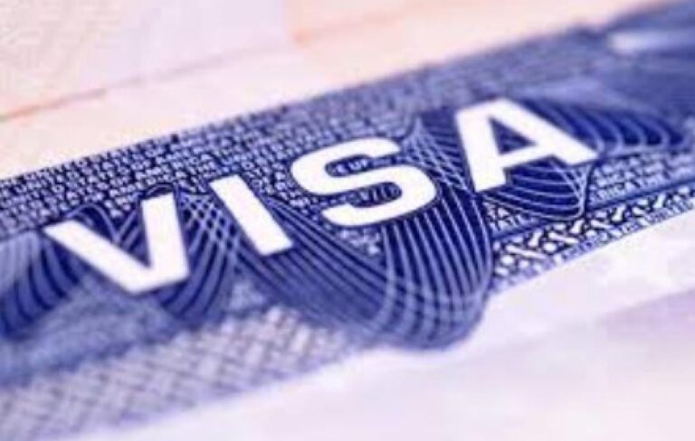 Senevisa.com : Une fausse plateforme en ligne piège les demandeurs de visa, le ministère réagit