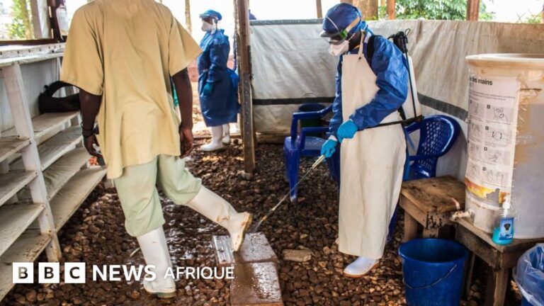 De la RDC à l'Allemagne : l'inquiétante trajectoire du virus Ebola qui s'exporte à l'international