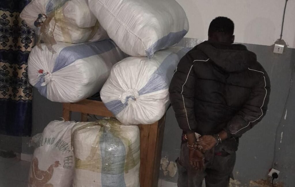 Sédhiou : l’OCRTIS saisit 114 kg de chanvre indien après une poursuite sur la RN4