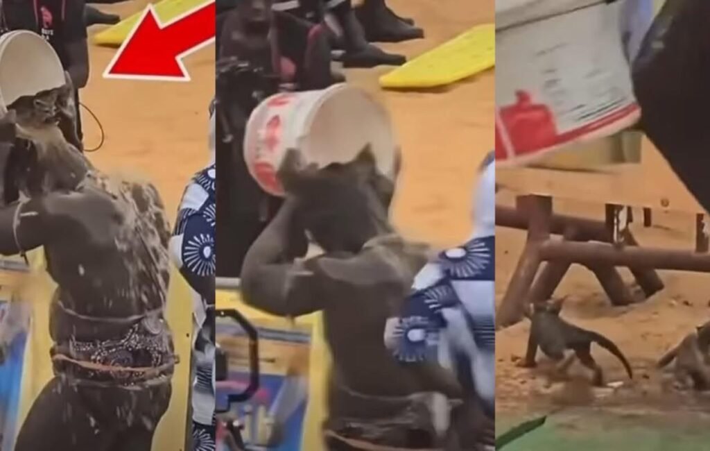 La Fédération sénégalaise de lutte a décidé de sévir contre Reug Reug, qui a provoqué une polémique après un bain mystique avec des chatons.